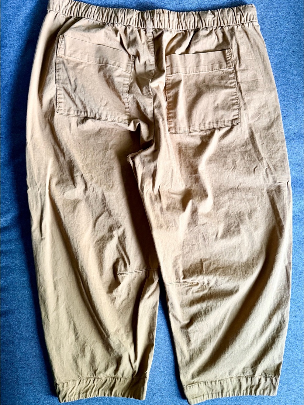 Everlane Easy Barrel Drawstring Pants in Oak Brown - Picture 9 of 10